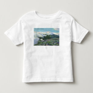 View of the Famous Cog Railway Toddler T-Shirt