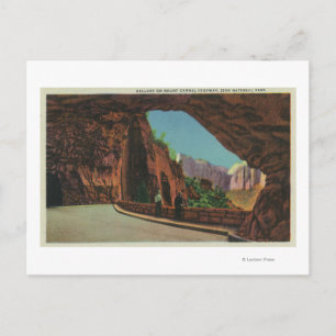 View of the Gallery on Mount Carmel Highway Postcard