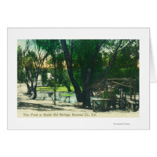 View of the Hot Springs Pond