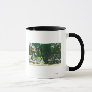 View of the Hot Springs Pond Mug