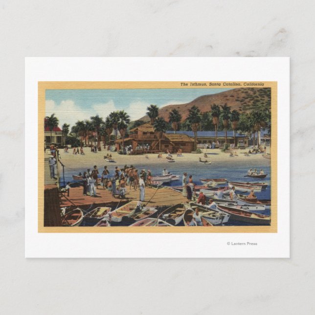 View of the Isthmus Harbour w/ Swimmers Postcard (Front)