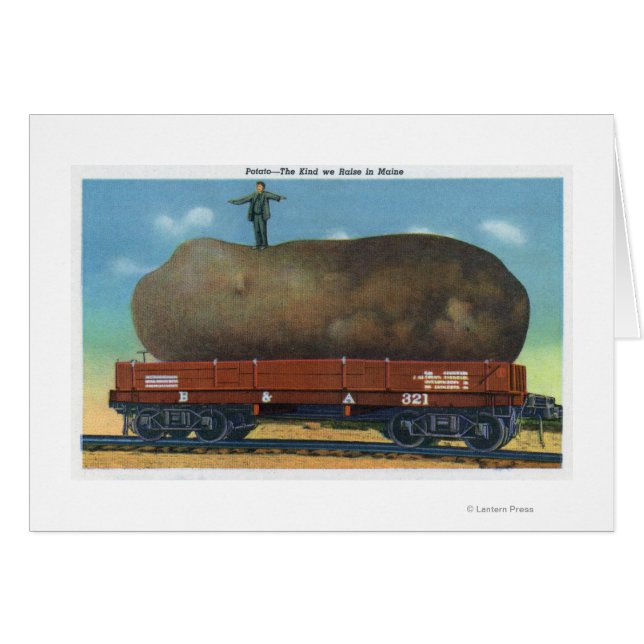 View of the Kind of Potatoes Raised in Maine (Front Horizontal)