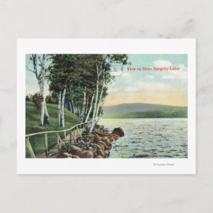 View of the Lake Shore Postcard