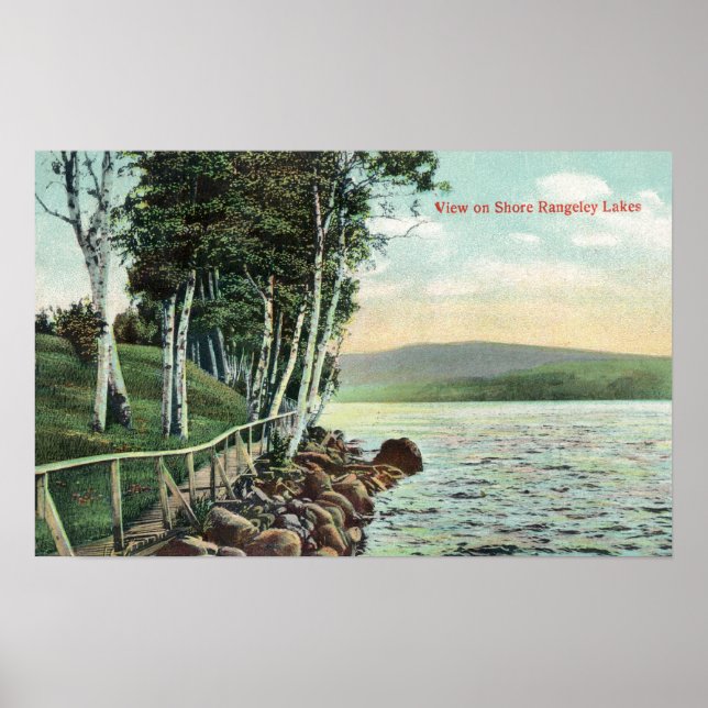 View of the Lake Shore Poster (Front)