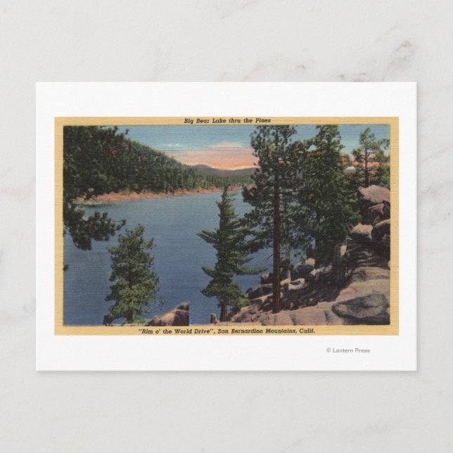 View of the Lake through the Pines Postcard (Front)