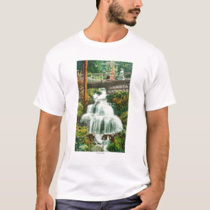 View of the Lower FallsShasta Springs, CA T-Shirt