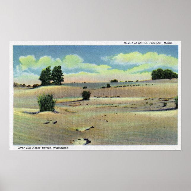 View of the Maine Desert Poster (Front)