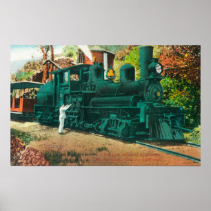 View of the Mt. Tamalpais Railway Train Poster