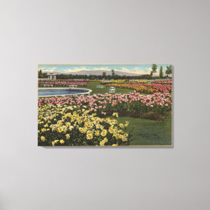 View of the Municipal Rose Garden Canvas Print