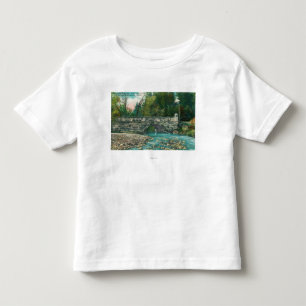 View of the Napa County BridgeNapa, CA Toddler T-Shirt