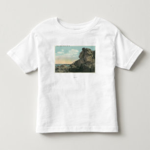 View of the Old Man of the Sea Rock Formation Toddler T-Shirt