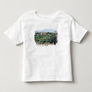 View of the Palace of the Alhambra Toddler T-Shirt