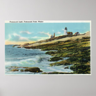 View of the Pemaquid Lighthouse Poster