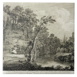 View of the Petrifying Spring commonly called the Tile