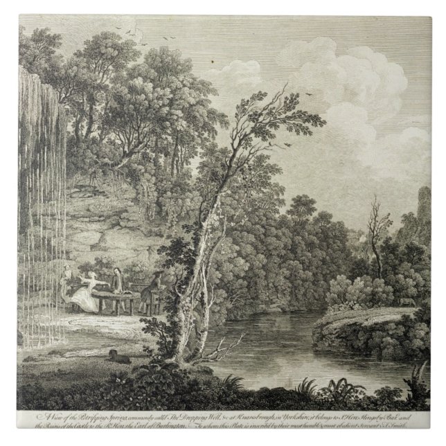 View of the Petrifying Spring commonly called the Tile (Front)