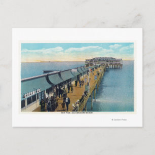 View of the Pier Postcard