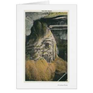 View of the Pipe Organ