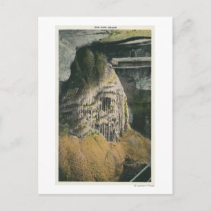 View of the Pipe Organ Postcard