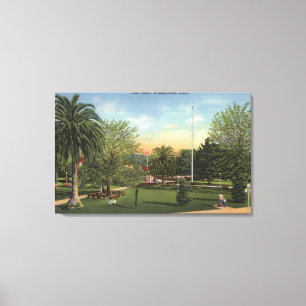 View of the Plaza Canvas Print