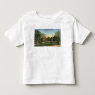 View of the Plaza Toddler T-Shirt