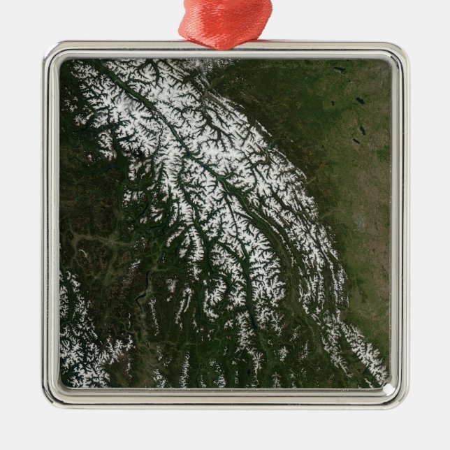 View of the Rocky Mountains Metal Tree Decoration (Front)