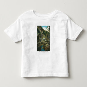 View of the Sentry Bridge & Upper Tunnel Toddler T-Shirt