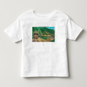 View of the Shasta TrainCow Creek Canyon, OR Toddler T-Shirt