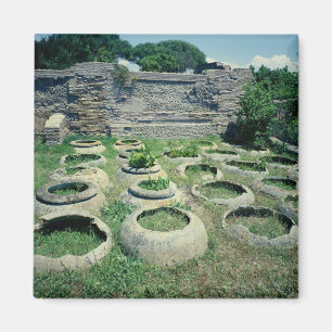 View of the shops magnet