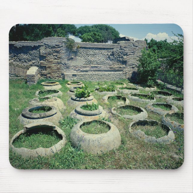 View of the shops mouse mat (Front)