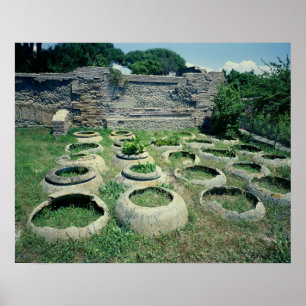 View of the shops poster