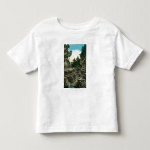 View of the Southern Entrance Gorge Toddler T-Shirt
