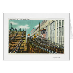 View of the Steeplechase Rollercoaster