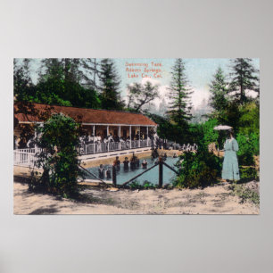 View of the Swimming PoolAdams Springs, CA Poster