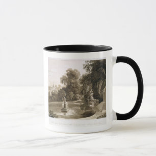 View of the Temple of Suryah and the Fountain of M Mug