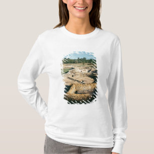 View of the thermal baths T-Shirt
