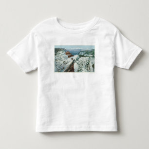 View of the Train at the Summit of the Coast Toddler T-Shirt