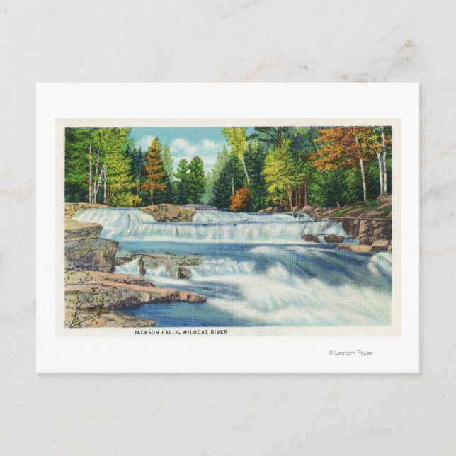 View of the Wild Cat River and Jackson Falls Postcard (Front)