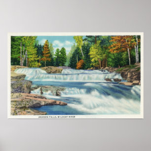 View of the Wild Cat River and Jackson Falls Poster