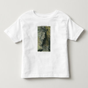 View of the Witches of the Grottoes Toddler T-Shirt