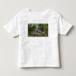 View of Thoreau's Cairn Toddler T-Shirt