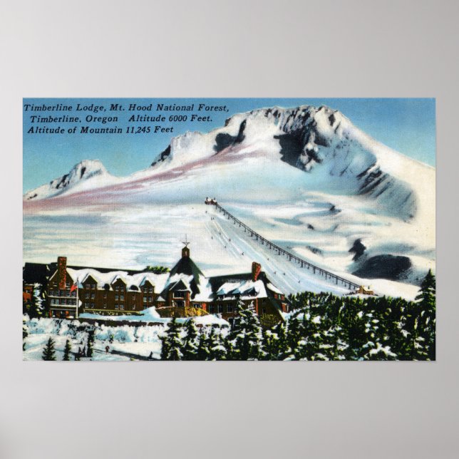 View of Timberline Lodge, Mt Hood in Winter Poster (Front)