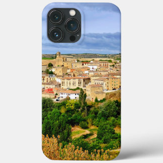 View of Torres del Rio iPhone 13 Pro Max Case