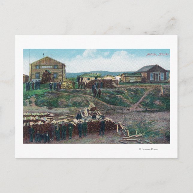 View of Townspeople Around Cut WoodNulato, AK Postcard (Front)