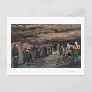 View of Treadwell Mine Gold MinersJuneau, AK Postcard