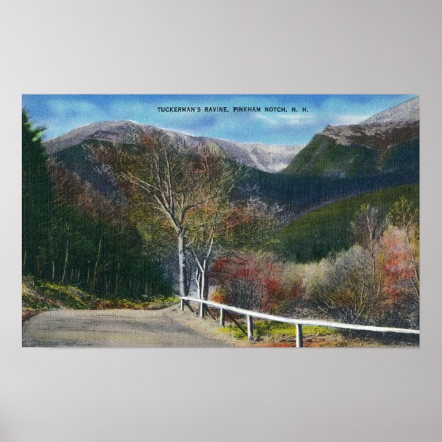 View of Tuckermans Ravine Poster (Front)