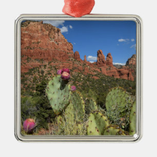 View of Twin Buttes Sedona, Arizona Metal Tree Decoration