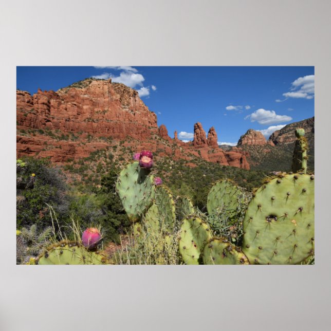 View of Twin Buttes | Sedona, Arizona Poster (Front)