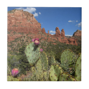 View of Twin Buttes   Sedona, Arizona Tile