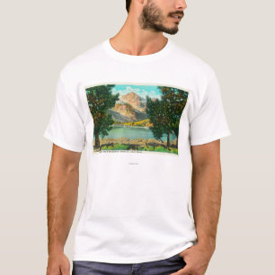 View of Twin Lakes near Bridgeport T-Shirt
