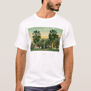 View of Twin PalmsParaiso Springs, CA T-Shirt